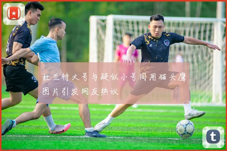 杜兰特大号与疑似小号同用猫头鹰图片引发网友热议