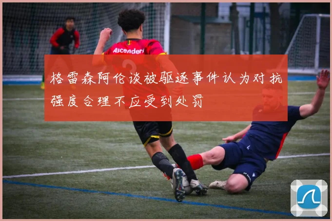 格雷森阿伦谈被驱逐事件认为对抗强度合理不应受到处罚
