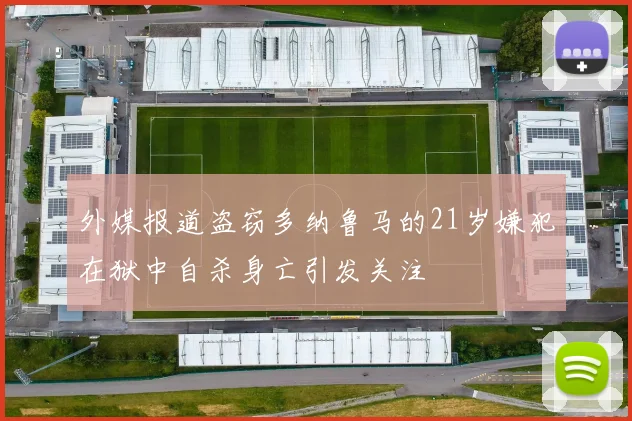外媒报道盗窃多纳鲁马的21岁嫌犯在狱中自杀身亡引发关注