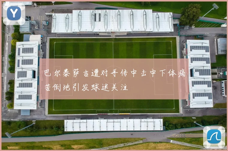 巴尔泰萨吉遭对手传中击中下体痛苦倒地引发球迷关注
