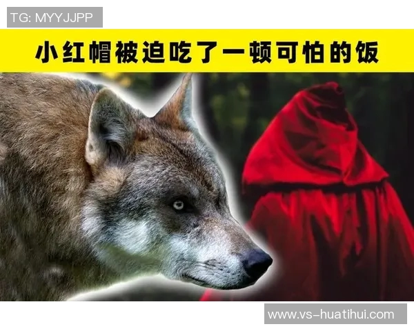 所以,到底发生了什么背后隐藏的真相与故事解析 所以,到底发生了什么背后隐藏的真相与故事解析